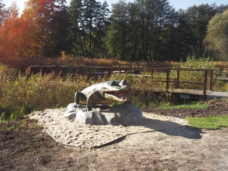 12 figur dinozaurów stoi już w parku Wrocławskim w Lubinie....