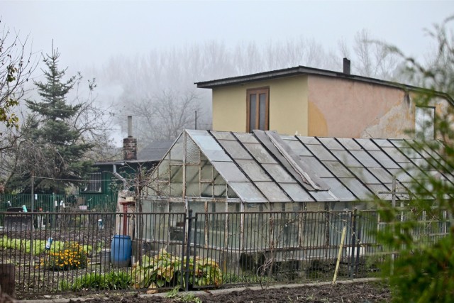 Ogrodów działkowych działa dziś na terenie Krakowa. Tylko kilkanaście z nich jest otwartych dla mieszkańców.