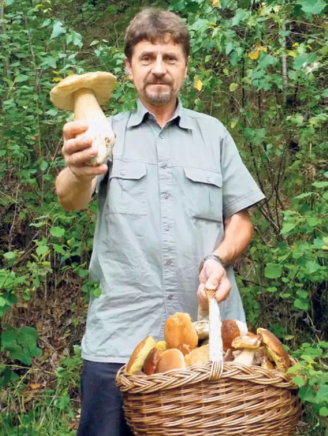 Justyn Kołek mówi, że wysyp grzybów potrwa jeszcze kilka dni.