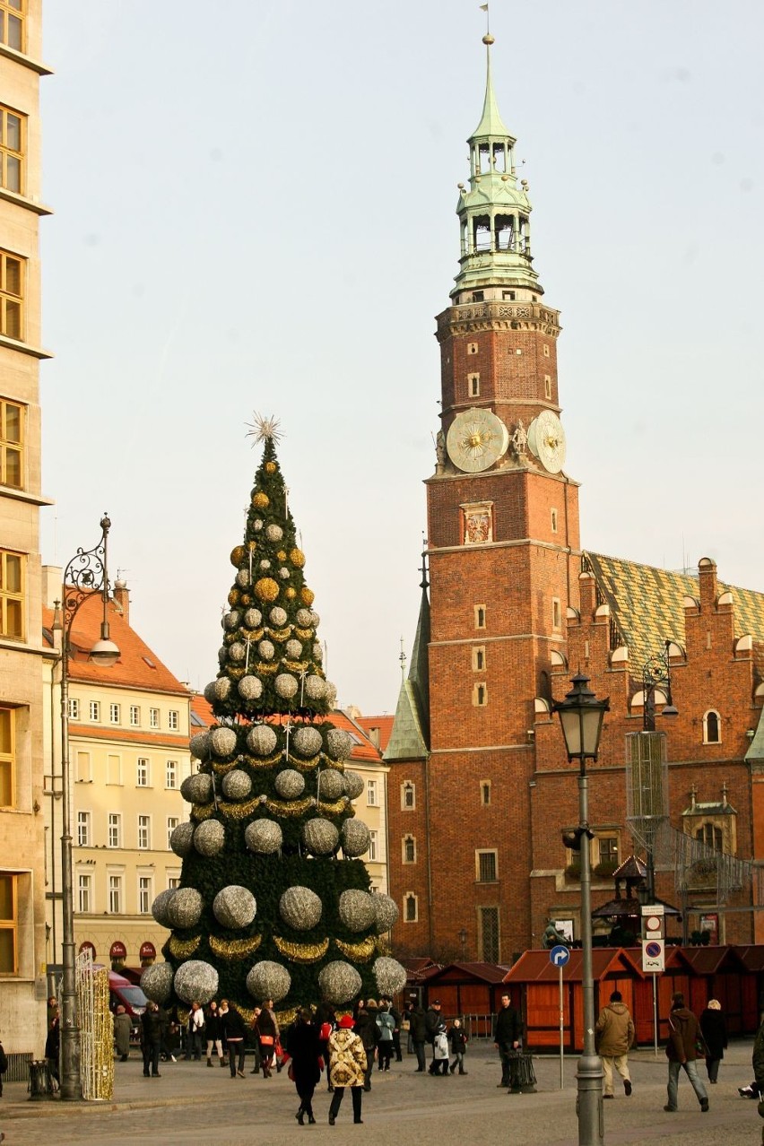 Wrocław: Na Rynku choinka już stoi. Rozbłyśnie 6 grudnia (ZDJĘCIA)