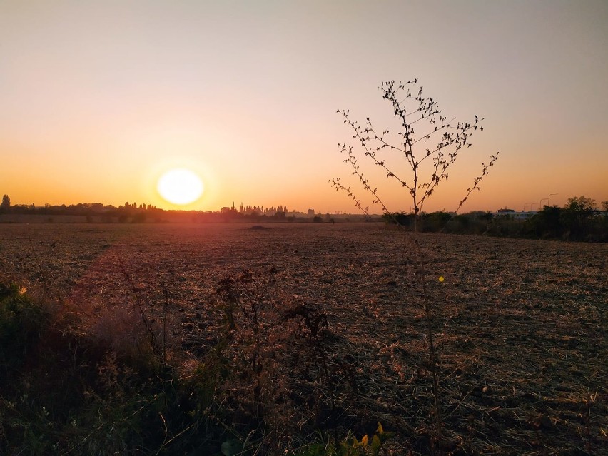 Jesień w obiektywie naszych Czytelników [ZDJĘCIA]