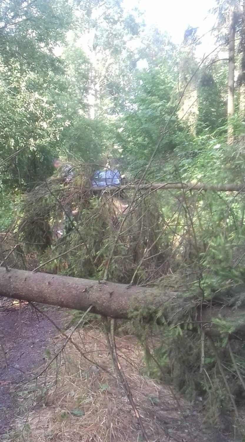 Trąba powietrzna pod Puczniewem w miejscowości Zofiówka