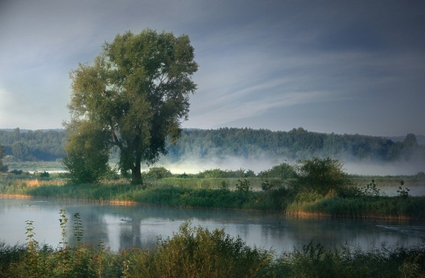 Roztoczański Park Narodowy i Zwierzyniec...