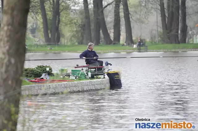 Zwycięzcą zawodów, który otwierały sezon wędkarski w Oleśnicy, został Tomasz Tabaczuk. Wędkarz z Oleśnicy złowił blisko 34 kg ryb.