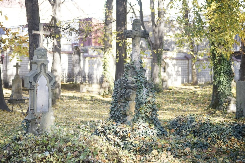 Piękne nagrobki na Starym Cmentarzu w Rzeszowie. Bogactwo detali, mogiły nadgryzione zębem czasu [ZDJĘCIA]