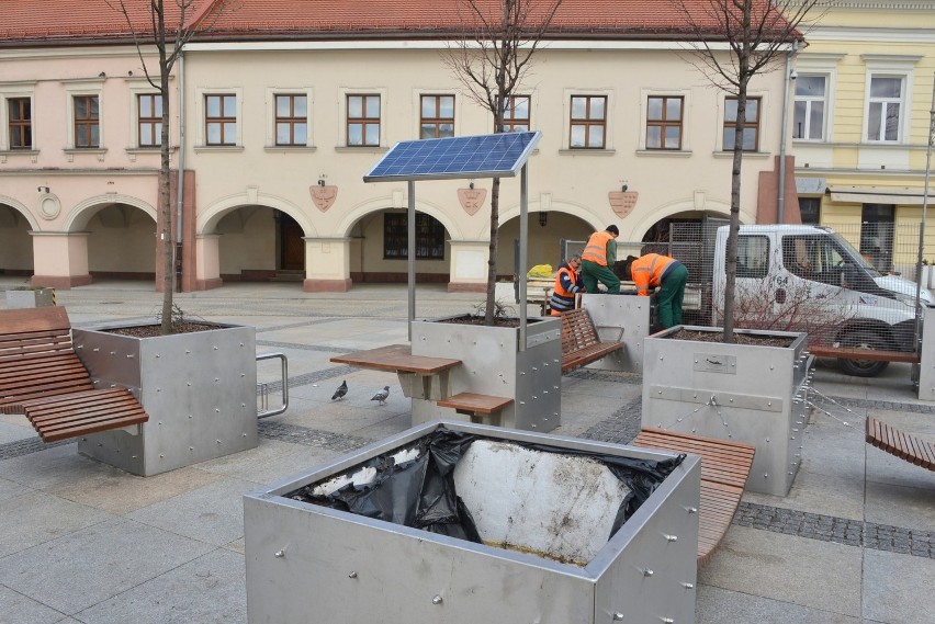Wymieniają drzewa w donicach na Rynku w Kielcach, nowe mają dawać więcej cienia (WIDEO)  