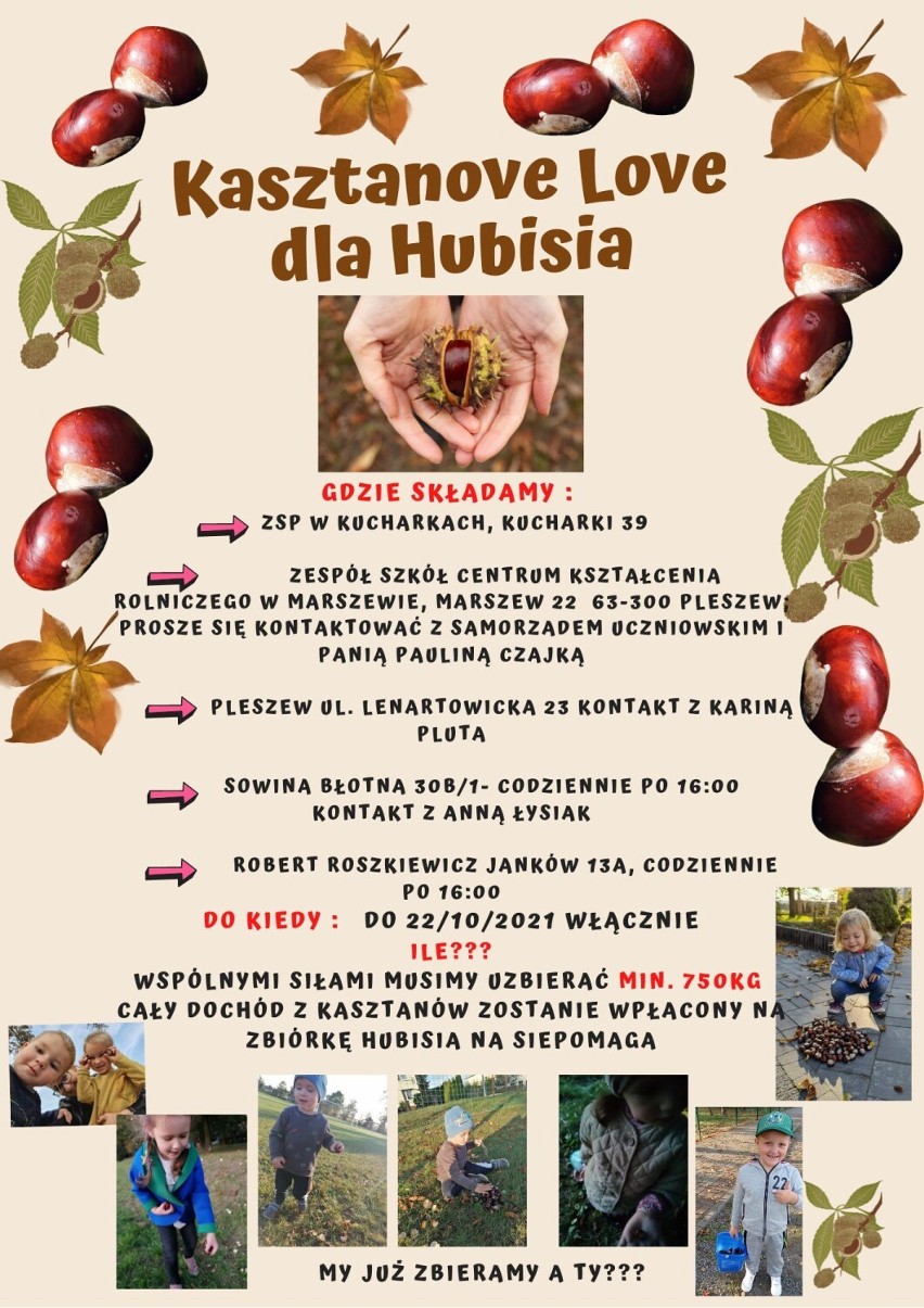"Kasztanowe Love dla Hubisia" to kolejna akcja charytatywna mające na celu wsparcie małego Huberta Roszkiewicza z Jankowa w gminie Pleszew