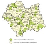 Małopolska wypowiada wojnę barszczowi Sosnowskiego [mapa]