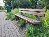 Kiepski stan ławek w Parku Kultury i Wypoczynku w Słupsku. ZIM sprawdzi problem