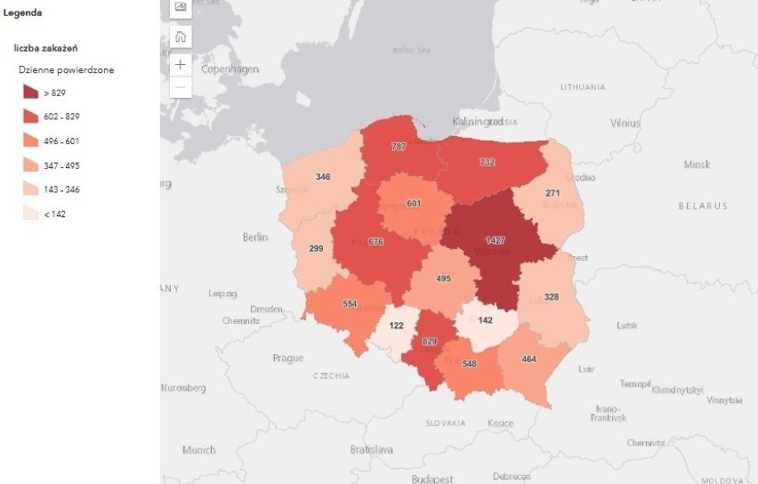 Koronawirus - Polska, 19.02.2021