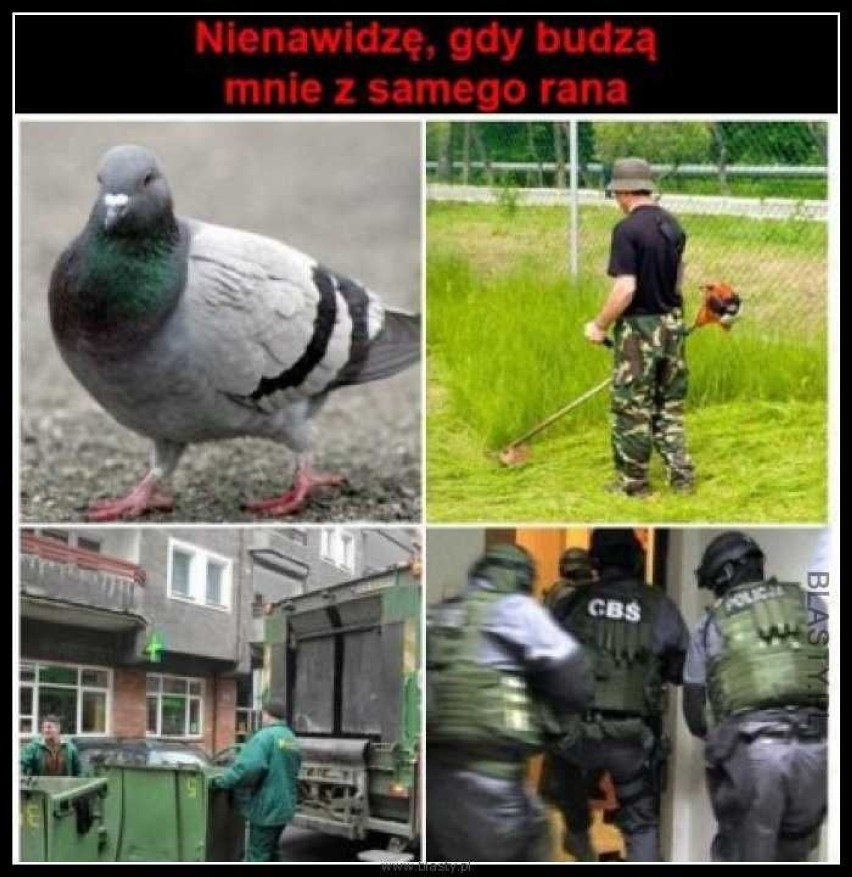 CBA zatrzymuje Romana Giertycha, a internauci kpią z tych służb specjalnych [MEMY]