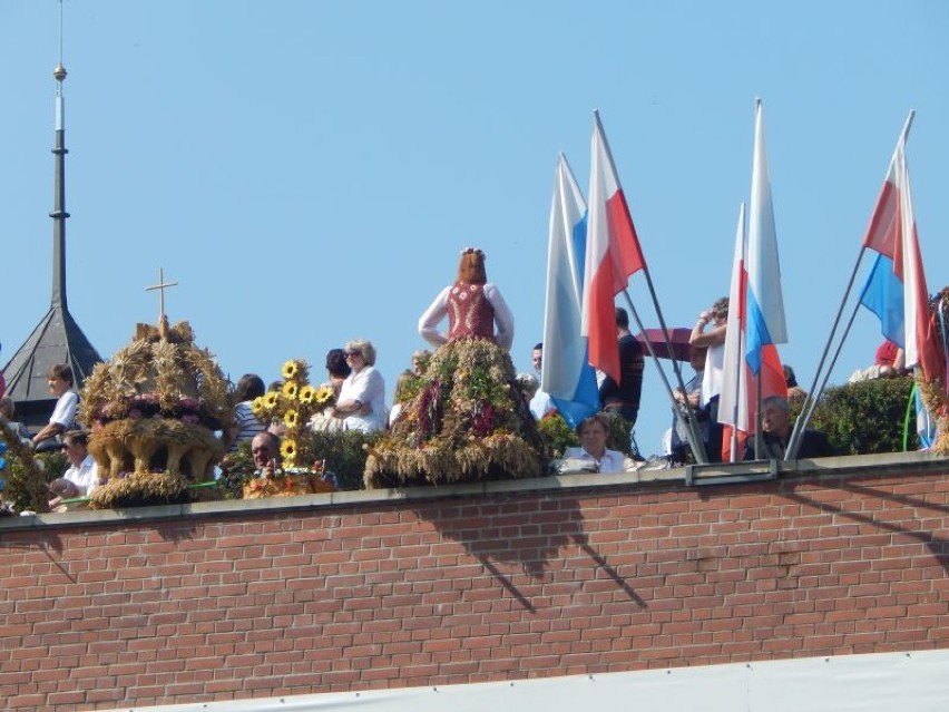 Dożynki jasnogórskie 2014. Zdjęcia internauty