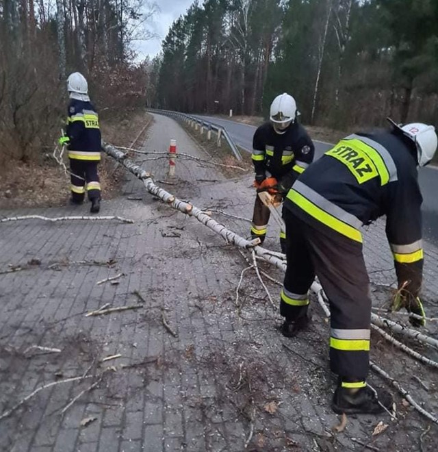 Druhowie z OSP Gostycyn przy usuwaniu skutków wichury