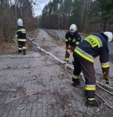 Strażacy z powiatu tucholskiego nadal usuwają skutki wichury i przygotowują się do kolejnej!