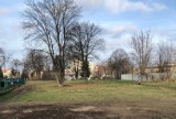 Wybieg dla małych piesków w Bydgoszczy - nastolatkowie zgłaszają projekt do Bydgoskiego Budżetu Obywatelskiego