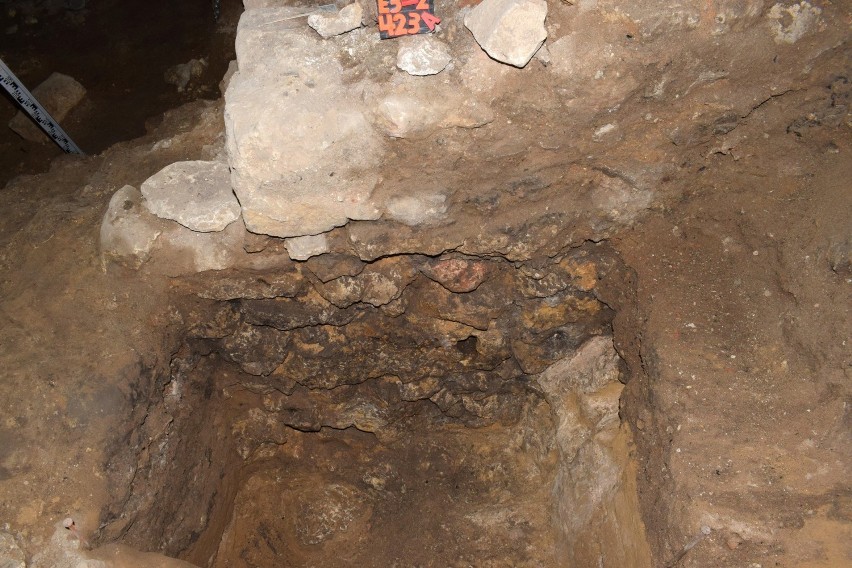 Neandertalczycy żyli pod Częstochową? W Olsztynie znaleziono narzędzia. Są datowane na 40 000 lat. [ZDJĘCIA]