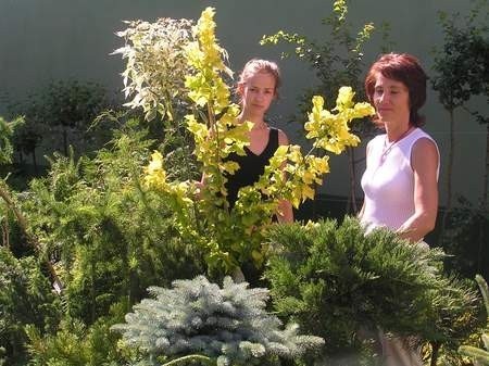 Aleksandra Nowacka i Elżbieta Miszewsk oglądają wiąz - roślinę wieloletnią. Fot. Iza Lemańczyk