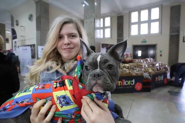 Pupil Love, czyli targi z psami i kotami w roli głównej