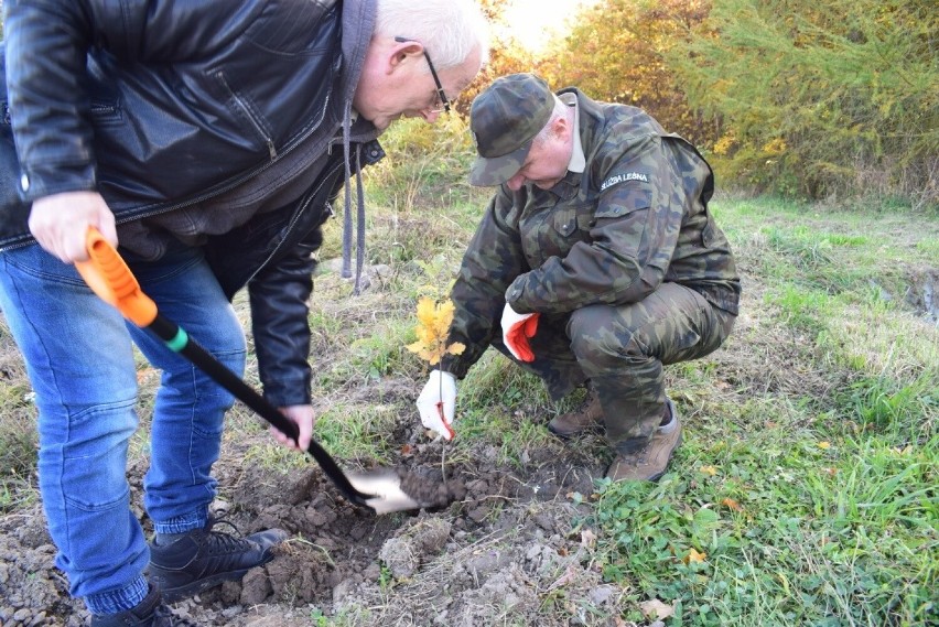 Samorządowcy z powiatu radomszczańskiego sadzili las na terenie Nadleśnictwa Bełchatów