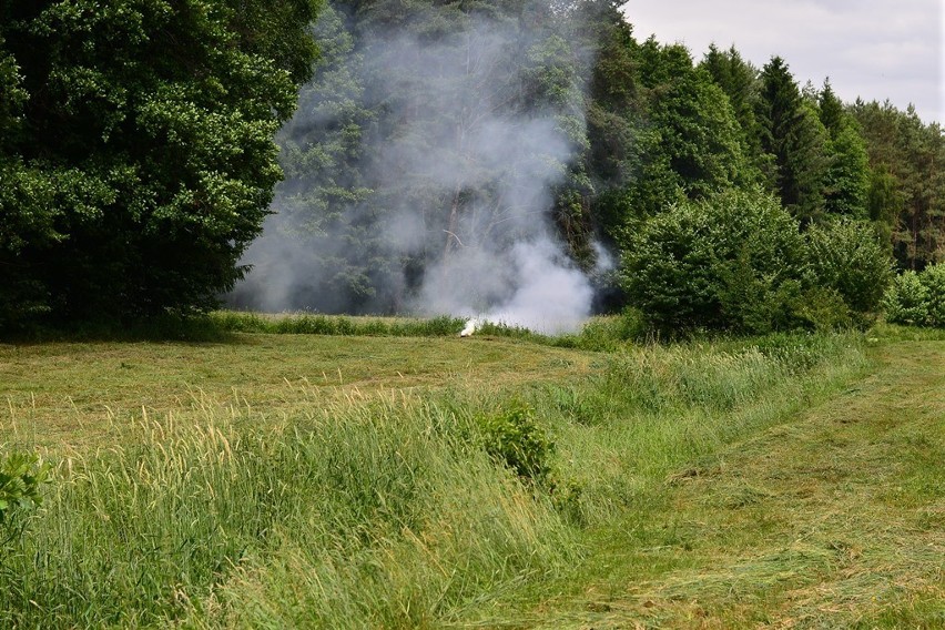 Dyżurny natychmiast na miejsce skierował policjantów ruchu...