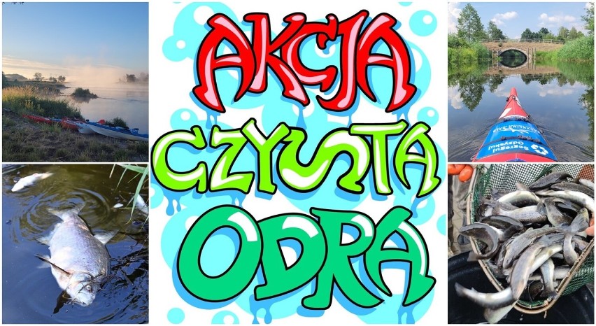 Logo  Akcji Czyta Odra - ODROdzenie