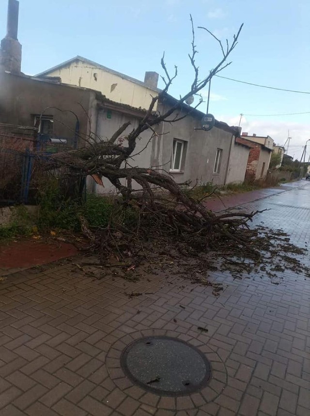 Wichura w powiecie radziejowskim