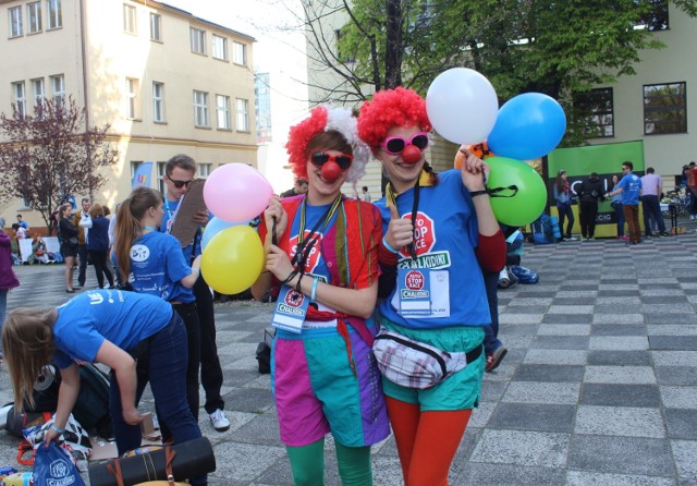 Auto Stop Race 2015 - Wrocław