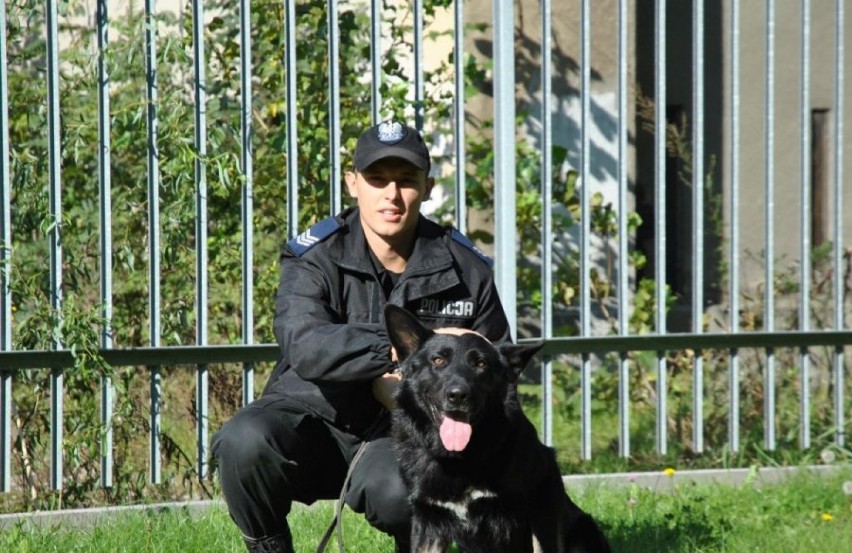 Policyjny pies Epan z Jarosławia, odszedł na emeryturę. Owczarek niemiecki przez 10 lat służył w Komendzie Powiatowej Policji [FOTO]
