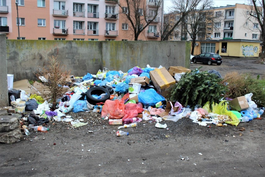 Odpady medyczne na dzikim wysypisku śmieci w Łęczycy! [ZDJĘCIA] 