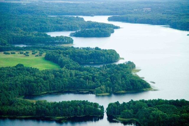 Jezioro Bobięcińskie Wielkie to prawdziwa perełka, największy lobeliowy akwen w Polsce