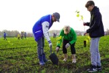 W Rybniku posadzono nowy las. Sto osób w pół godziny zasadziło tysiąc drzew! Fundacja Mój Las dostała na ten cel grant z miasta