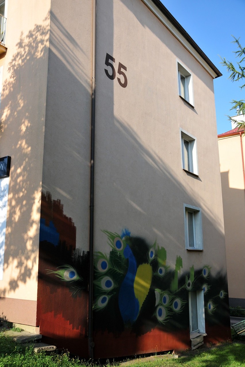 To już drugi mural na bloku przy ul. Kościuszki w Jaśle.