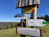 Wysokie - korona Beskidu Niskiego. Zobaczcie szlak i panoramę ze szczytu [ZDJĘCIA]