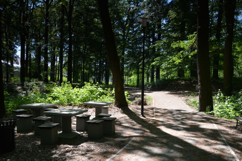 Pieńsk zyskał piękny, zrewitalizowany park. Byliście już? 