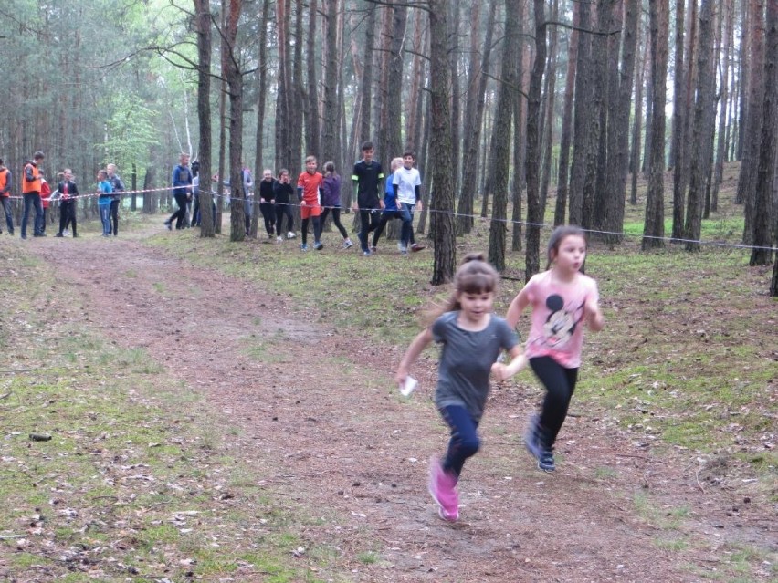 Mistrzostwa gminy Blizanów w biegach przełajowych. Rekordowa liczba uczestników ZDJĘCIA