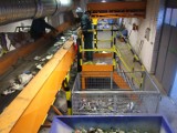 Wieluńska komunalka nie ujawni, ile dokłada do wywozu odpadów. „Tajemnica handlowa”