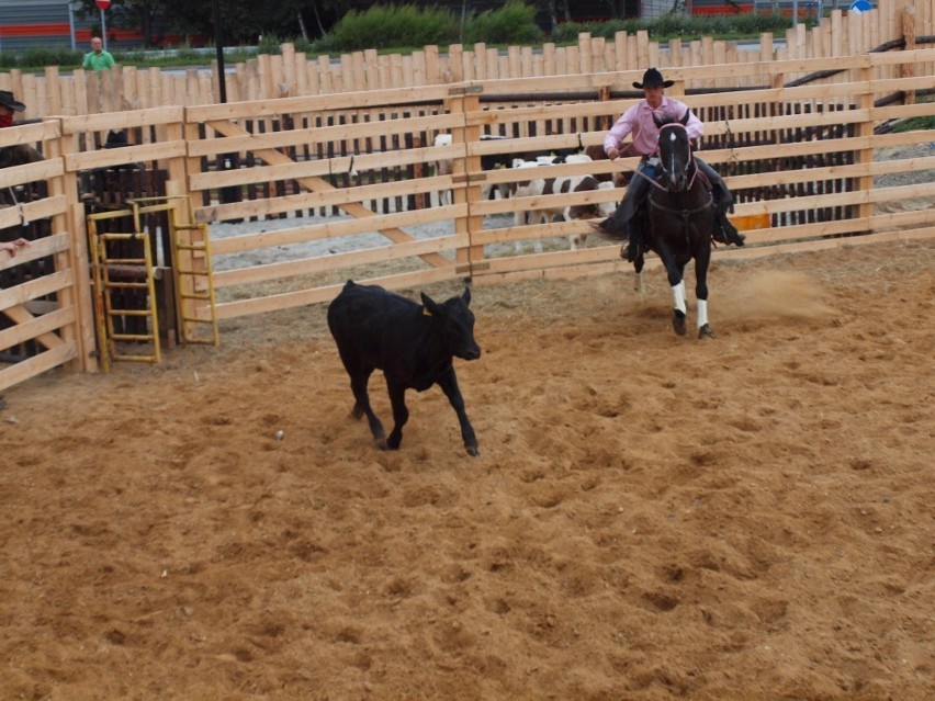 Żory western: Pokazy rodeo - Wild West Show. Zobacz zdjęcia!