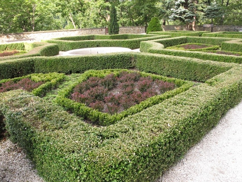 Botaniczna wycieczka przez ogrody i tarasy zamku Książ (ZDJĘCIA)