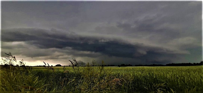 Burze dotarły do powiatu sieradzkiego. Nawałnica m.in. na styku gmin Błaszki i Goszczanów ZDJĘCIA