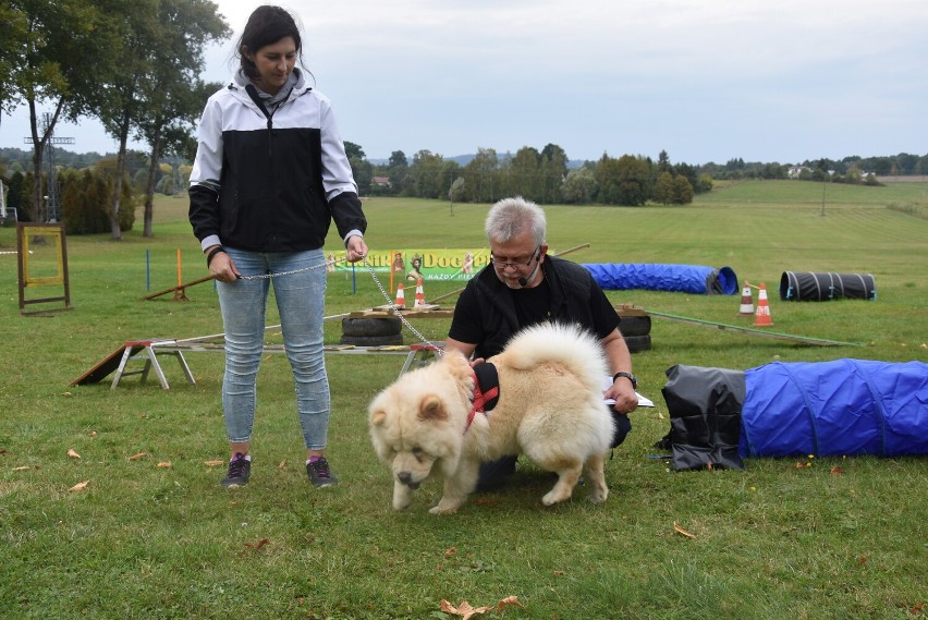 Kobylanka. Dog Piknik wokół sanktuarium z saletynami i Turbim, czyli dowód na to, że posługa nie musi zamykać się w kościelnych murach