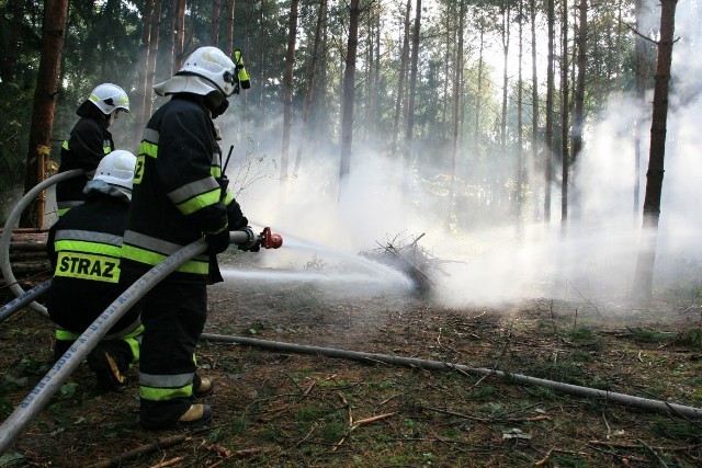 Ćwiczenia strażaków na Mierzei Wiślanej