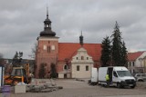 Stary Rynek we Włocławku będzie zielony. Trwają już nasadzenia. Zdjęcia, wideo