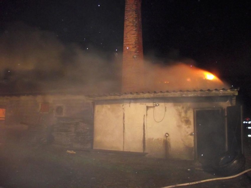 Pożar kurnika w Chynowej. Spłonęło 20 tysięcy piskląt