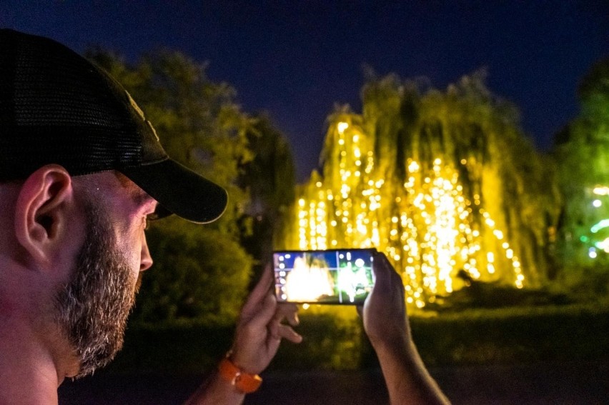 12. Bella Skyway Festival w Toruniu. Ile widzów obejrzało świetlne instalacje? Do rekordu daleko! 