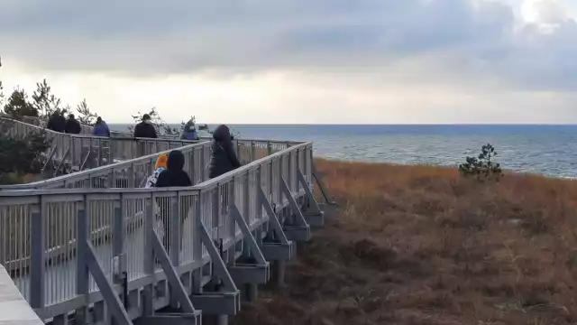 W niedzielne południe pogoda zachęcała do spacerów. Znakomitym pomysłem na rodzinne spędzenie wolnego czasu jest kładka przyrodnicza w Darłowie.