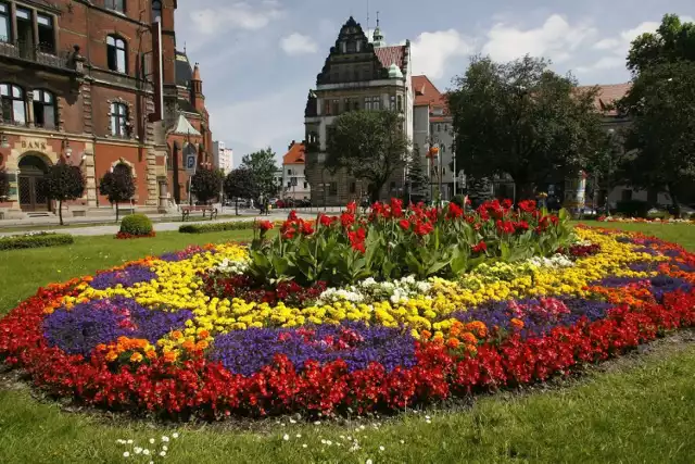 Kasa w legnickim urzędzie czynna krócej