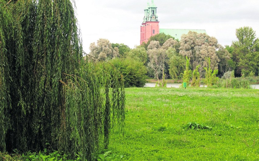 Projekt Wyspa, czyli jak ożywić przestrzeń