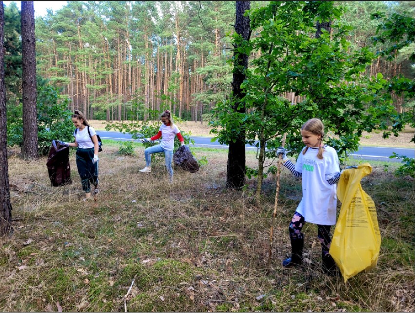 1,5 tony śmieci w dwie godziny - wolontariusze posprzątali lasek przy Rodakowskiego w Pile