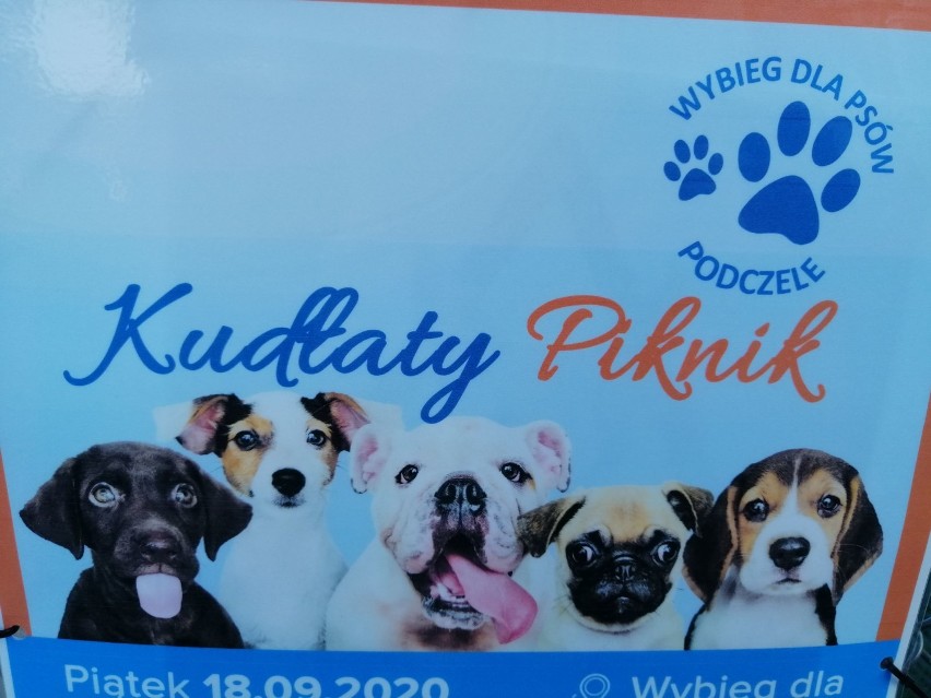 Kudłaty Piknik na wybiegu dla psów w Podczelu - zbierali na trzecią lampę