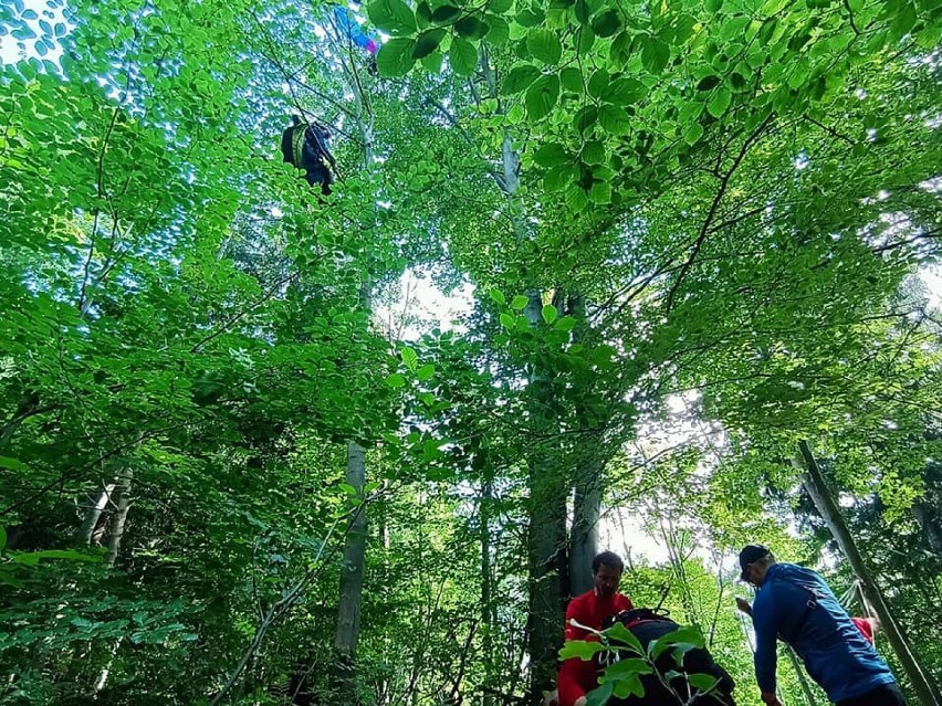 Paralotniarz w koronach drzew. Na ratunek ruszyli ratownicy GOPR Karkonosze